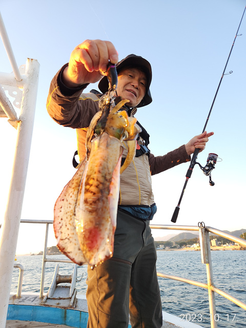 21인승 비너스호 무늬오징어조황 10/17