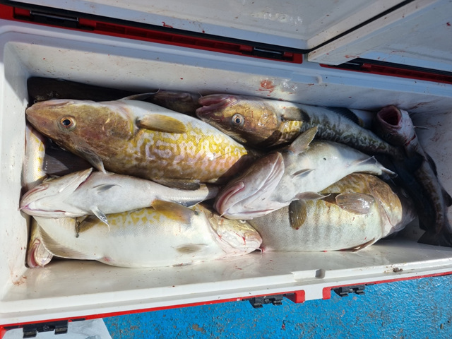 21인승 비너스호 왕대구 대박 10/7