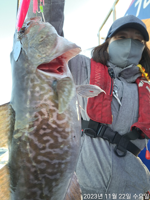 성복호 왕대구 조황 11/22