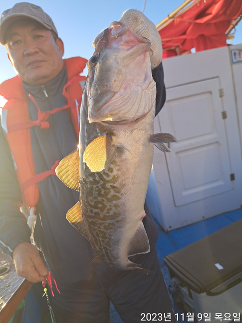 21인승 비너스호 왕대구 조황 11/9