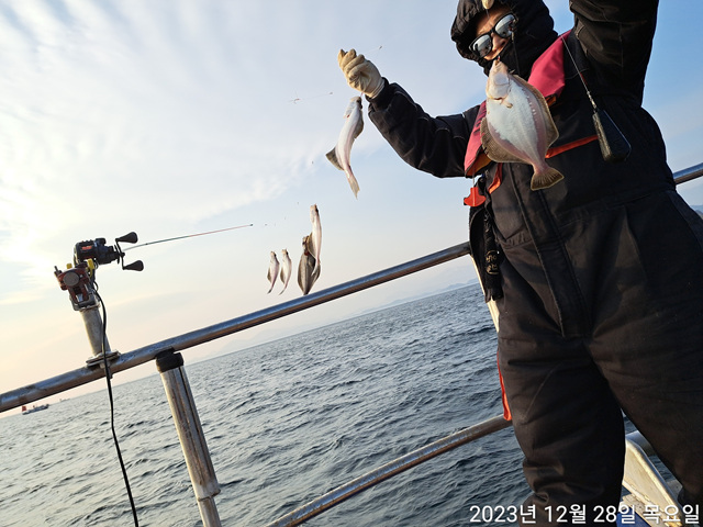 성복호  어구가자미 쿨러조황