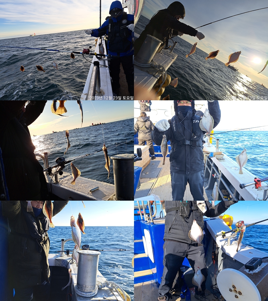 성복호 어구가자미 쿨러만선 12/23