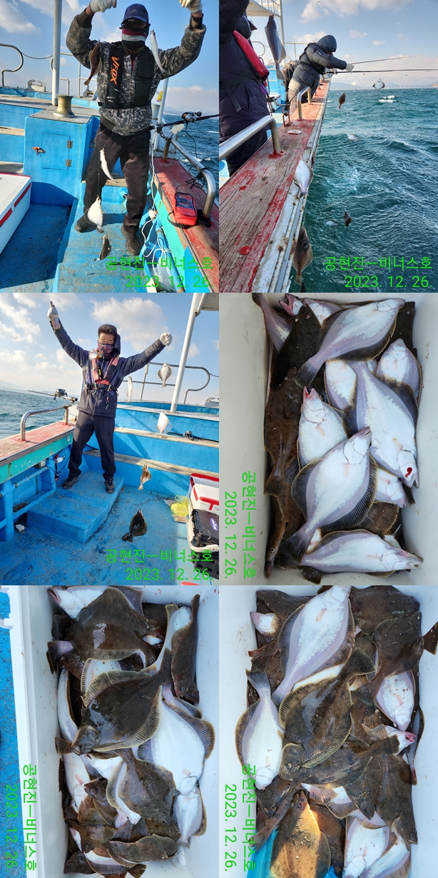 21인승 비너스호 어구가자미 조황