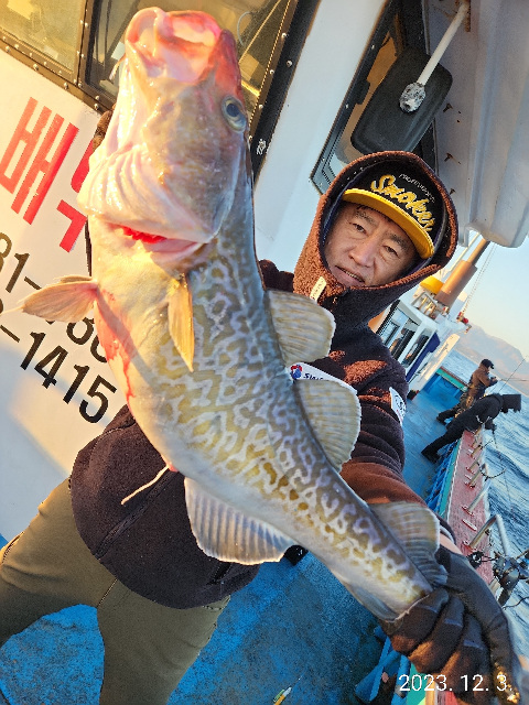 21인승 비너스호 왕대구 조황