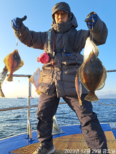 성복호 어구가자미쿨러조황 12/29
