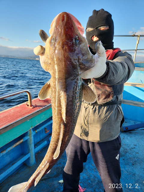 21인승 비너스호 왕대구 , 어구가자미 조황