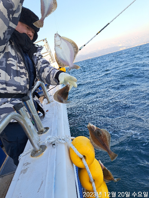 성복호 어구가자미 쿨러조황  12/20