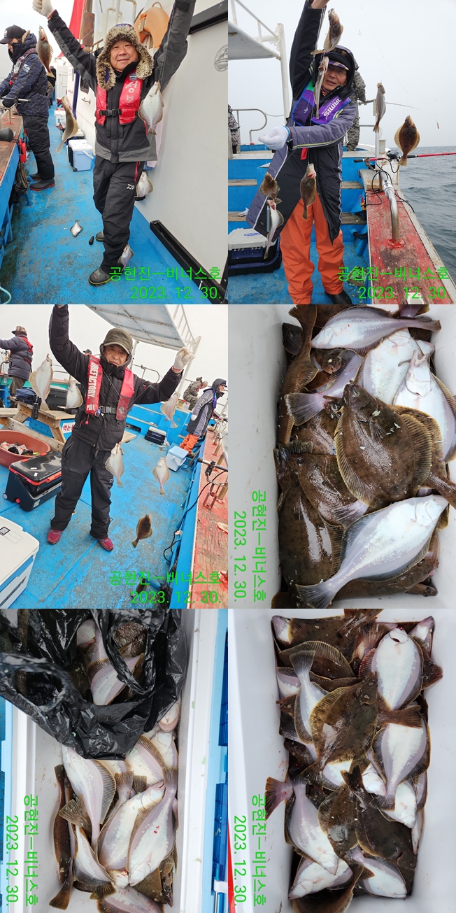 21인승 비너스호 어구가자미쿨러조황 12/30