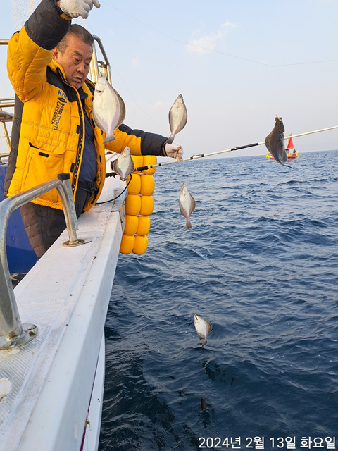21인승 비너스호 , 성복호 어구가자미조황