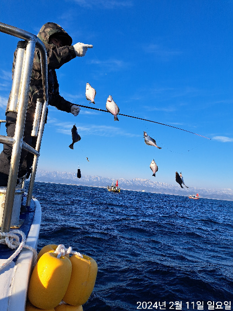 성복호 어구가자미쿨러대박 2/11