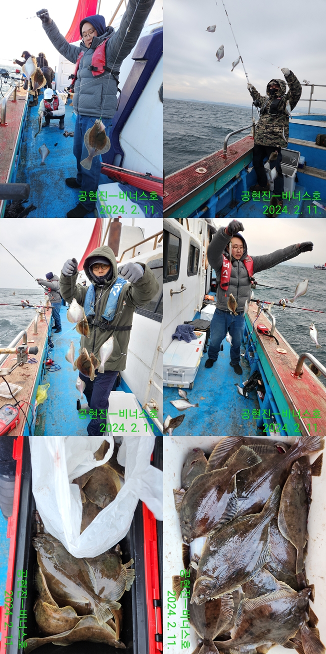 21인승 비너스호 어구가자미쿨러대박 2/11