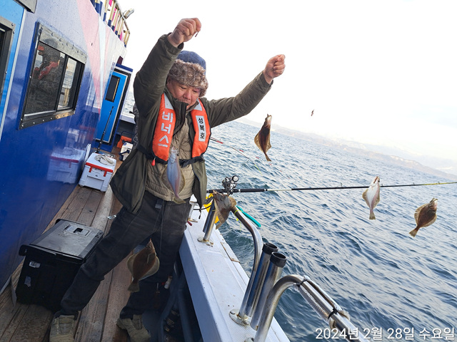 성복호 어구가자미  대구 쿨러조황
