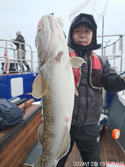 성복호 왕대구 조황 2/19