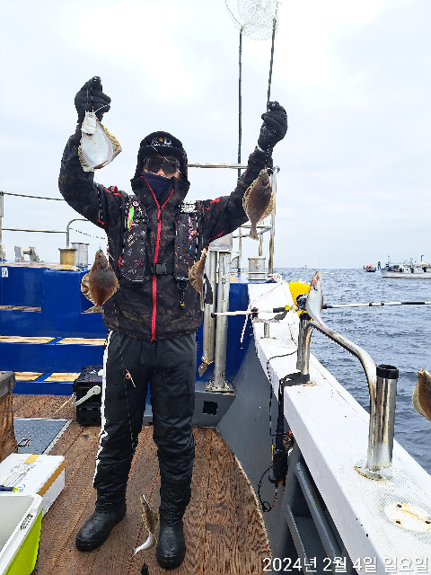 성복호 어구가자미  쿨러조황