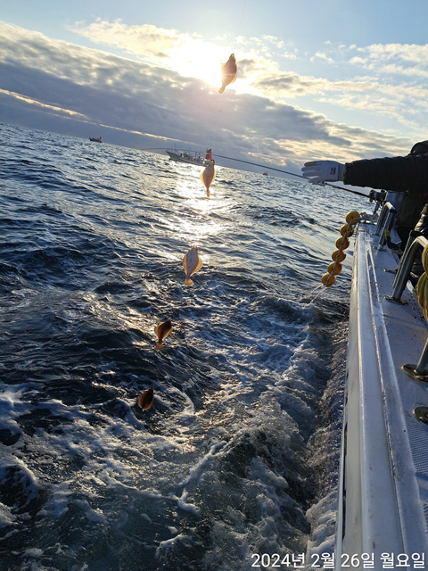 성복호 어구가자미조황