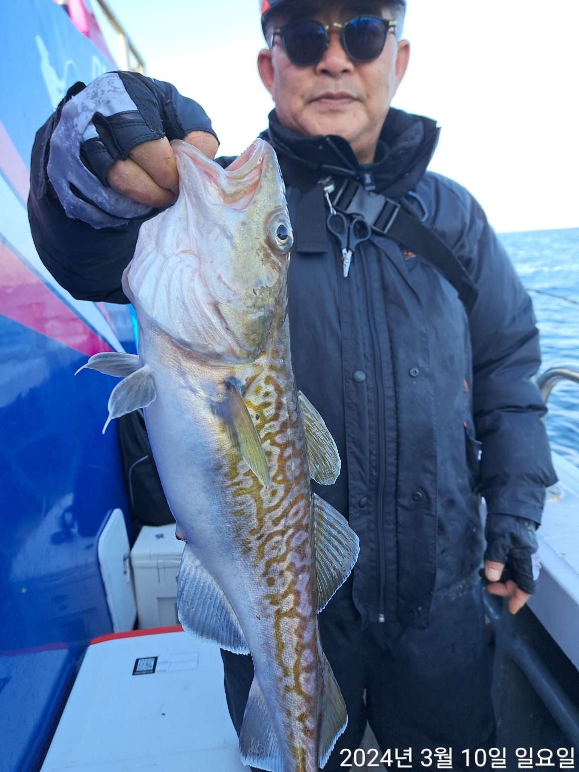 성복호 대구 실시간 조황