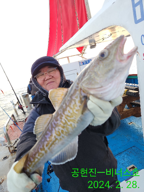 21인승 비너스호 대구조황2/28