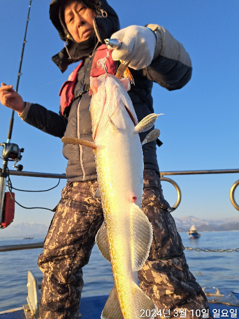 성복호 왕대구 쿨러조황