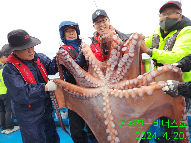 21인승 비너스호 40키로 대왕문어대박