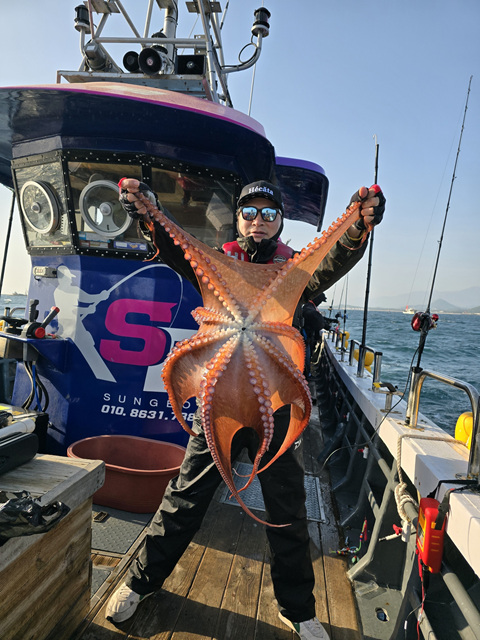 성복호 문어조황 4/28