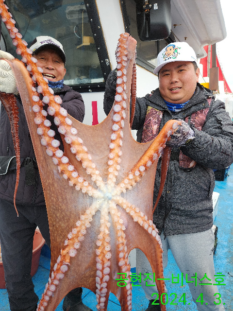 21인승 비너스호 대왕문어 만선