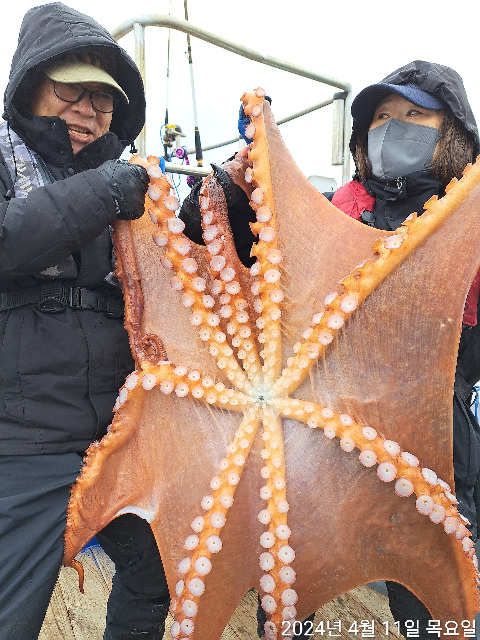 성복호 15키로 문어조황