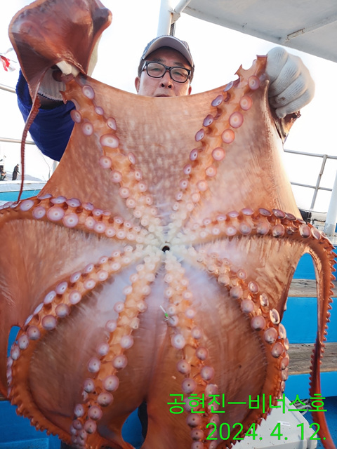 21인승비너스호 왕문어조황