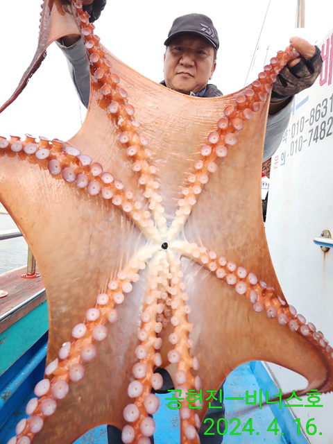 21인승비너스호  왕문어조황