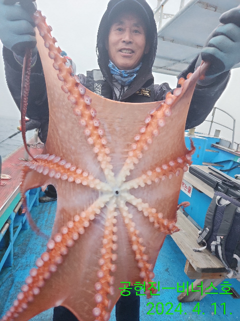 21인승비너스호 왕문어조황