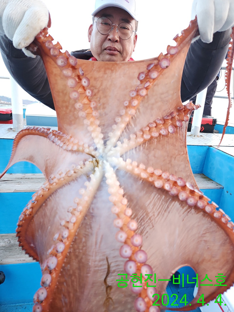 21인승비너스호 대왕문어조황 굿~