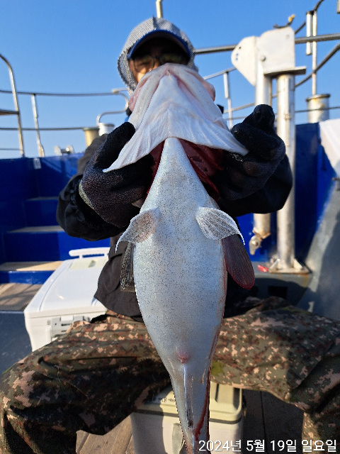 성복호 왕대구 쿨러대박 5/19