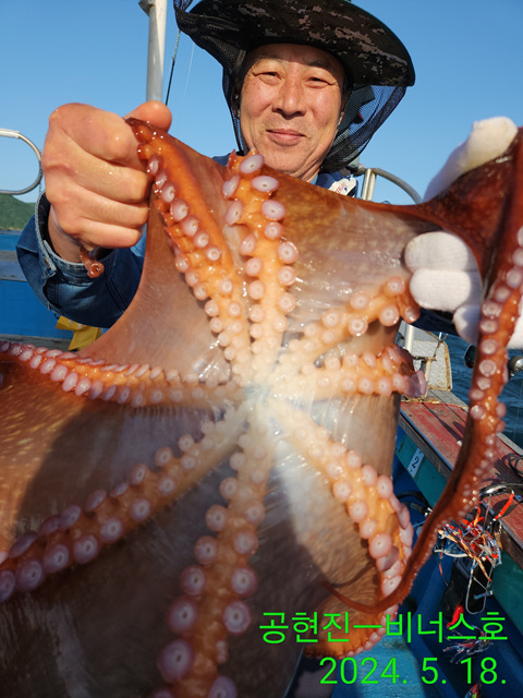 21인승 비너스호 문어조황