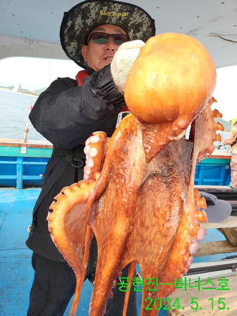 21인승비너스호 대왕문어 조황 5/15