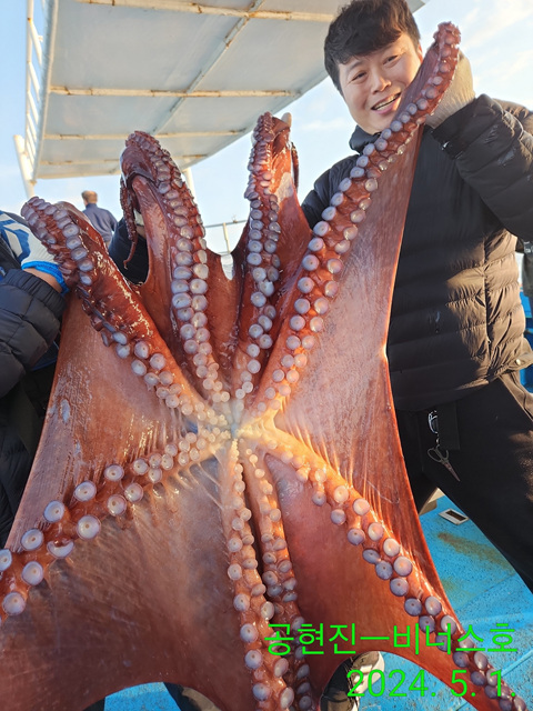 21인승 비너스호 대왕문어 19키로 조황