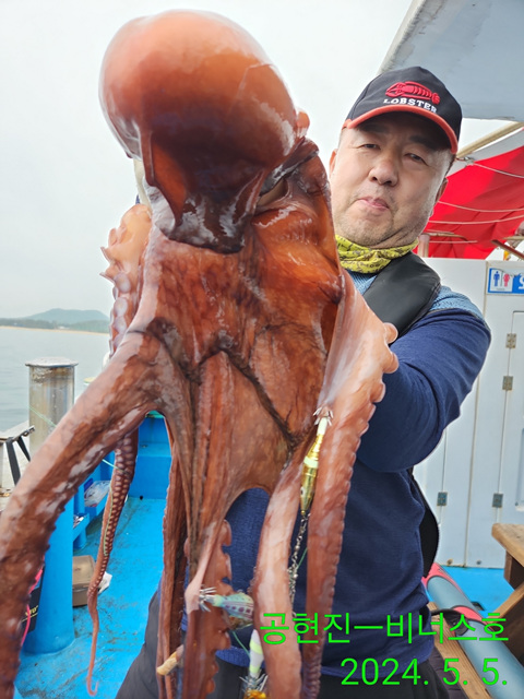 21인승비너스호 문어조황  5/5