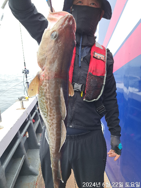 성복호 왕대구조황 6/22