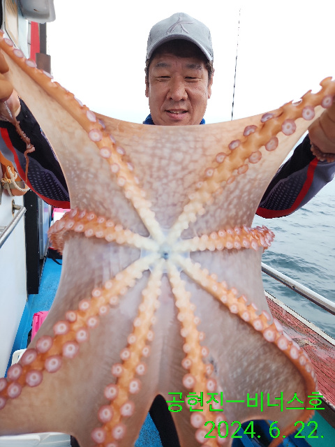 21인승비너스호 대왕문어조황6/22