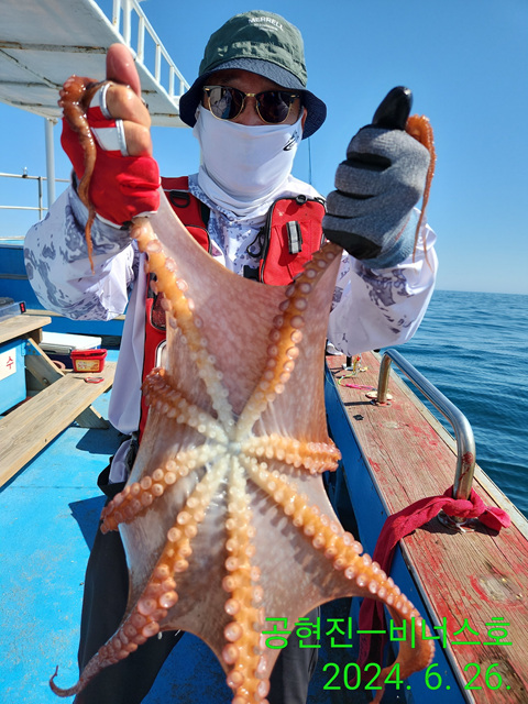 21인승비너스호 문어조황