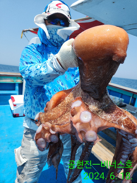 21인승 비너스호 대왕문어 대박