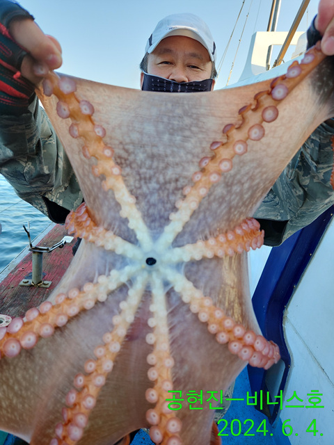 21인승비너스호 문어조황