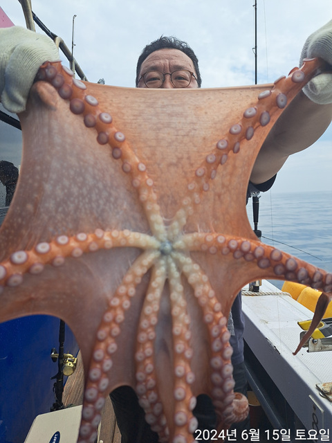 성복호 문어조황