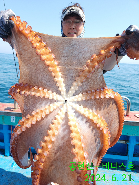 21인승 비너스호 대왕문어 대박