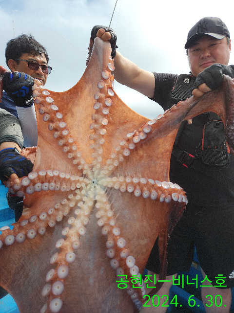 21인승 비너스호 대왕문어  2마리 대박