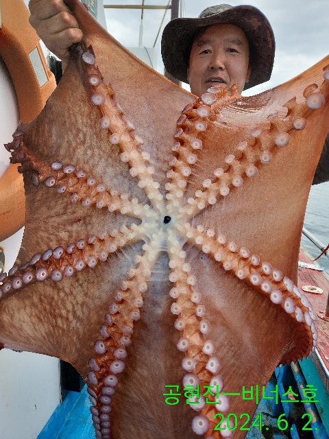 21인승 비너스호 대왕문어 대박