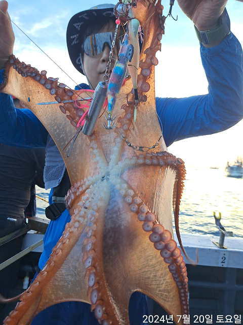 성복호 문어대박 7/20