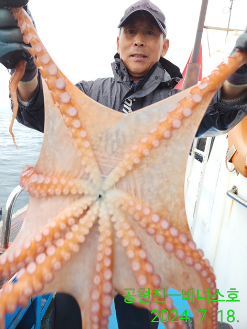 21인승비너스호 문어조황