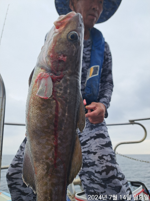 성복호 왕대구 대박