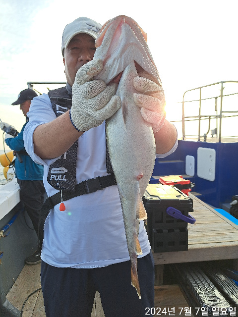 성복호 왕대구조황