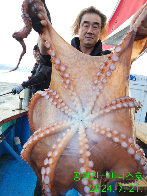 21인승비너스호 대왕문어조황 7/21