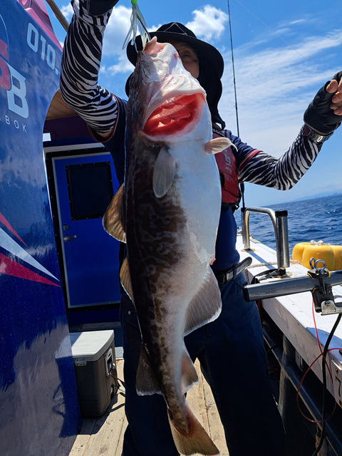 성복호 대구조황